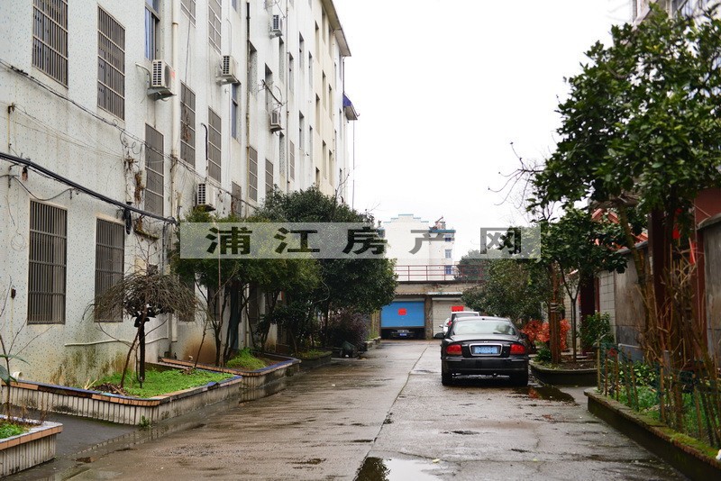 实景图