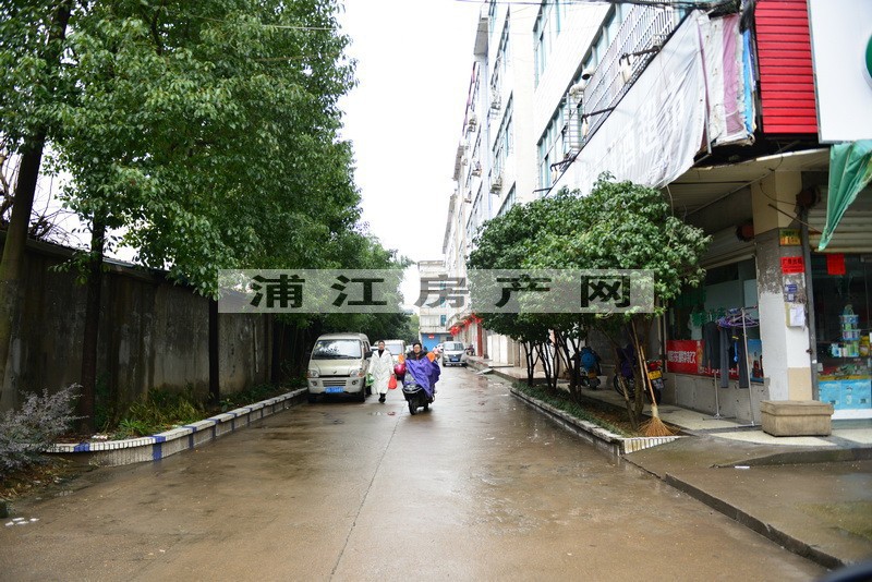 实景图