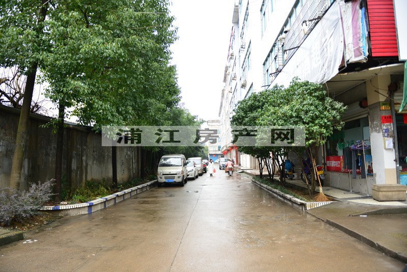 实景图