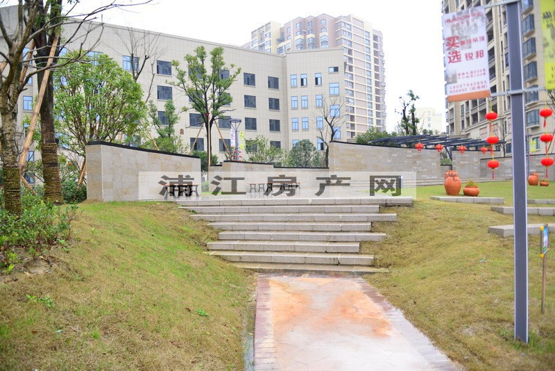 实景图