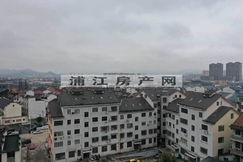实景图