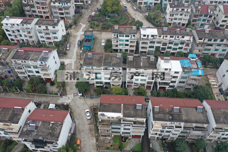 实景图