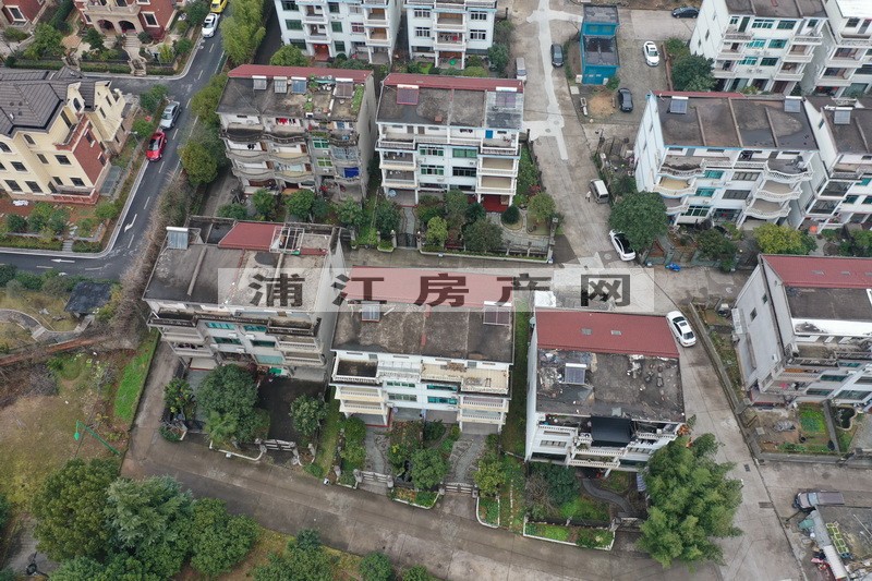 实景图
