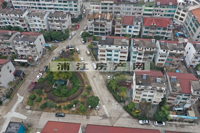 实景图