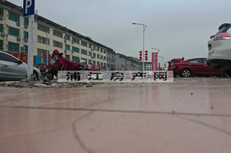 实景图