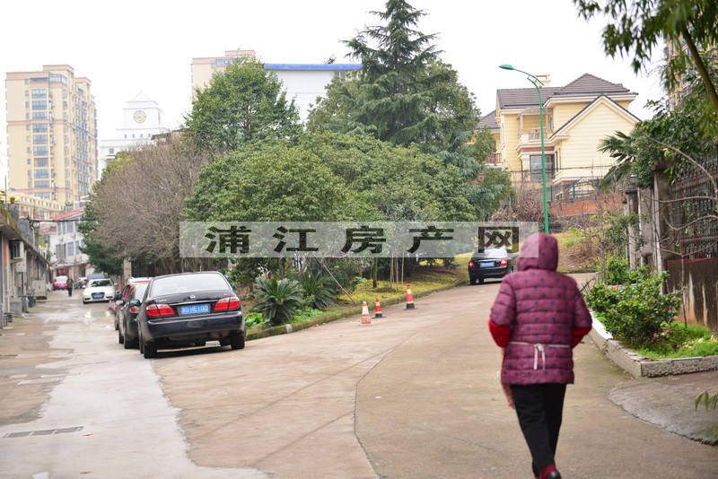 实景图