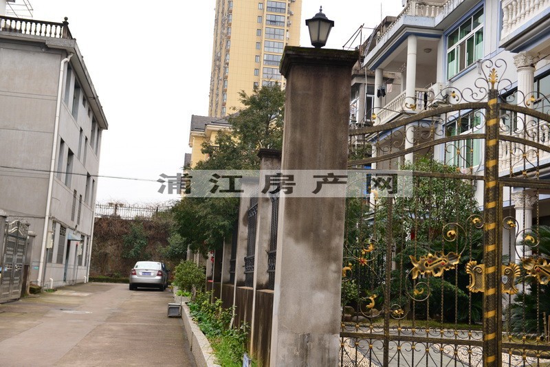实景图