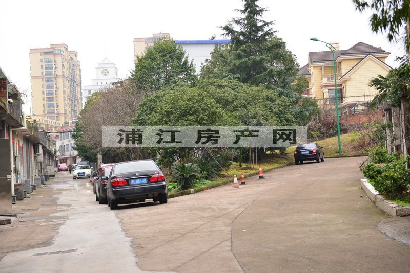 实景图