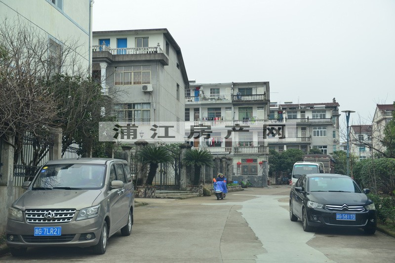 实景图