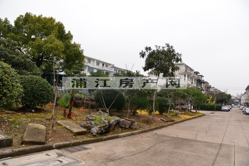 实景图