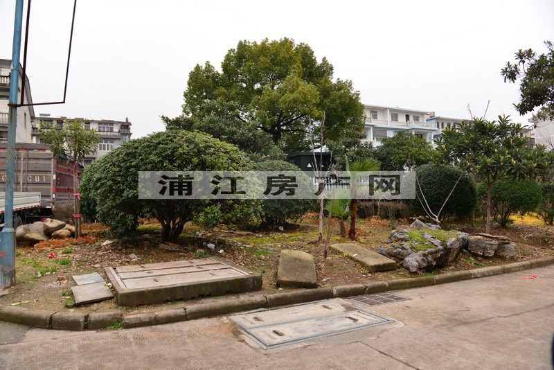 实景图