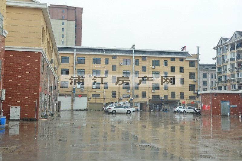 实景图