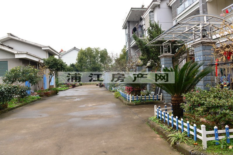 实景图