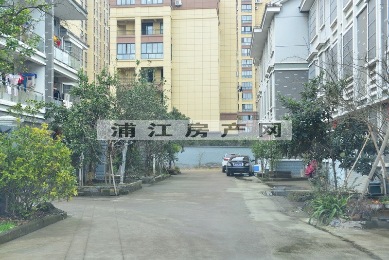 实景图