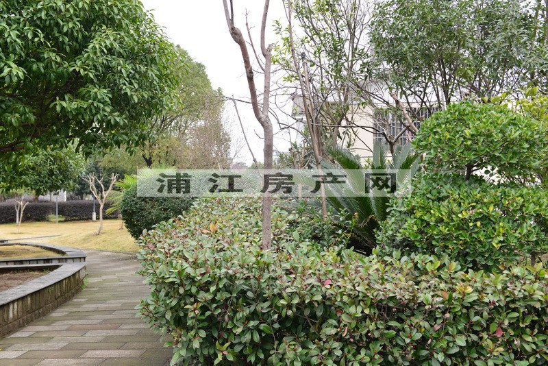 实景图