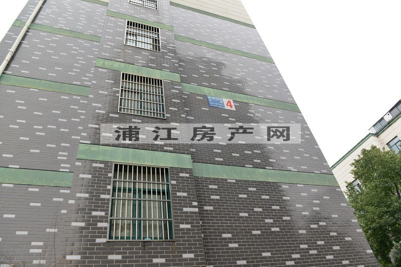 实景图