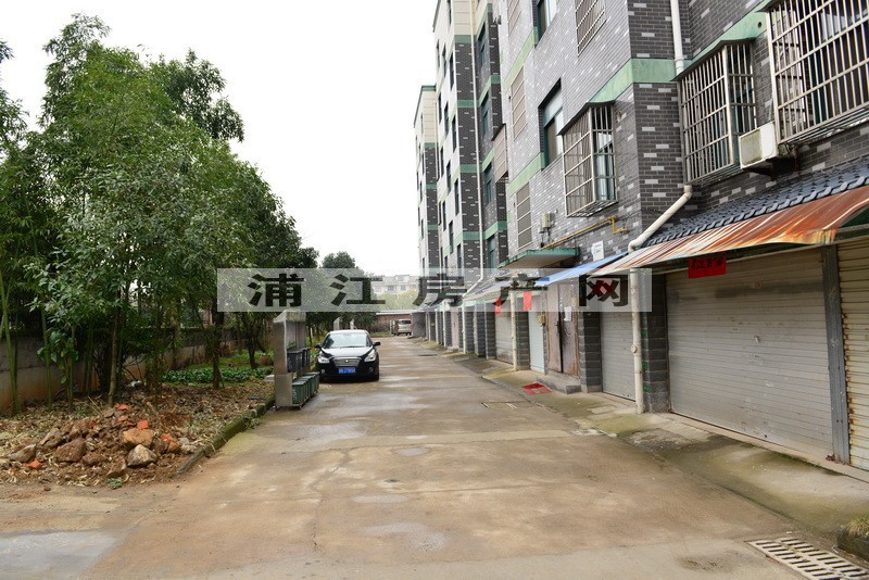 实景图