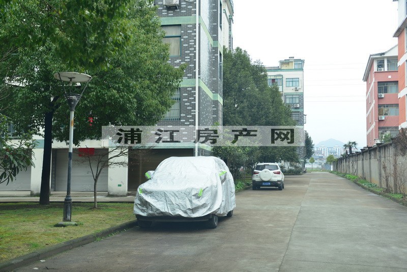 实景图