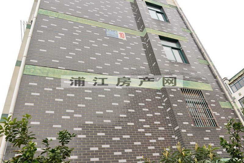 实景图