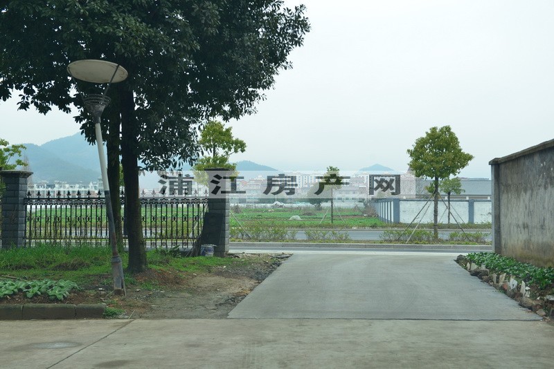 实景图