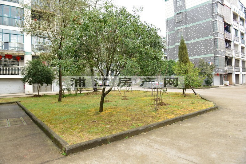 实景图
