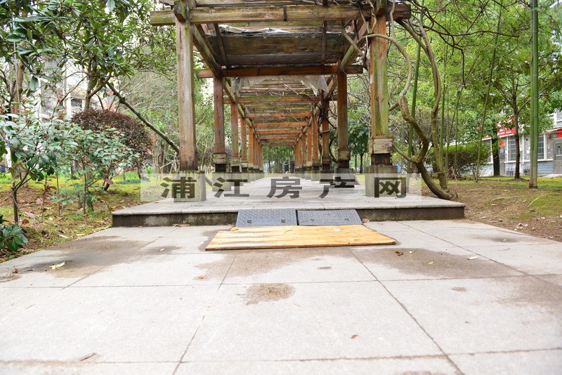 实景图