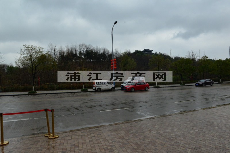 实景图