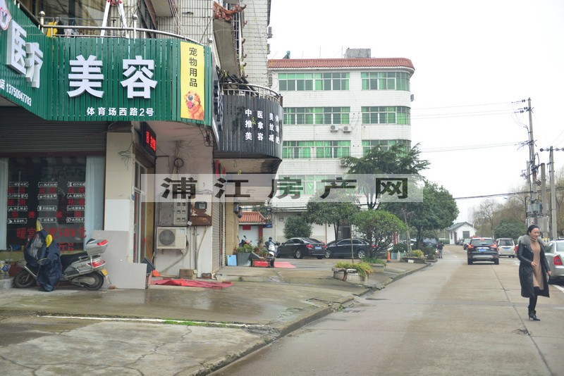 实景图