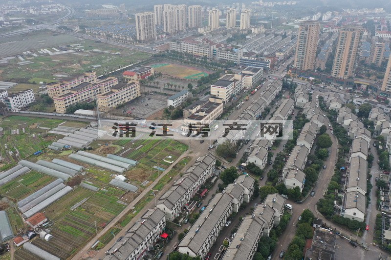 实景图