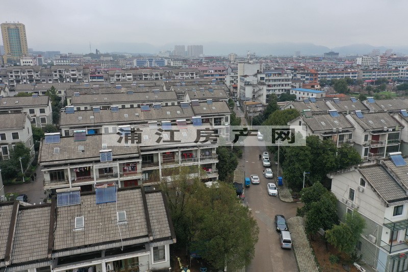 实景图