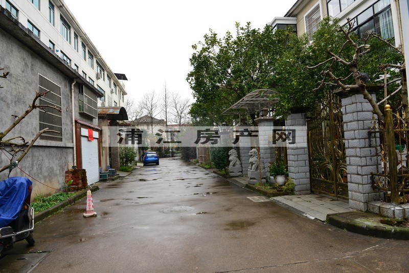 实景图