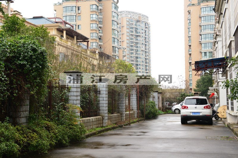 实景图