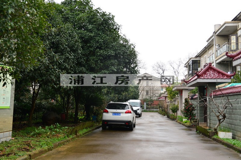 实景图