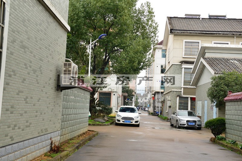 实景图
