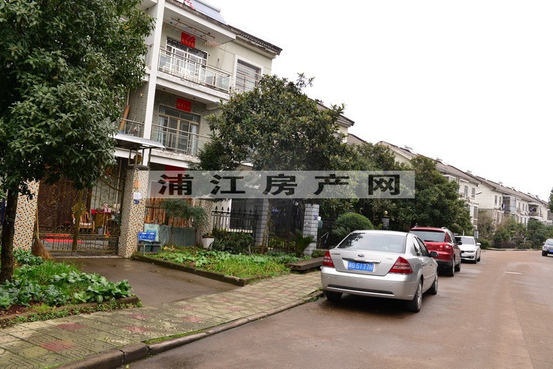 实景图