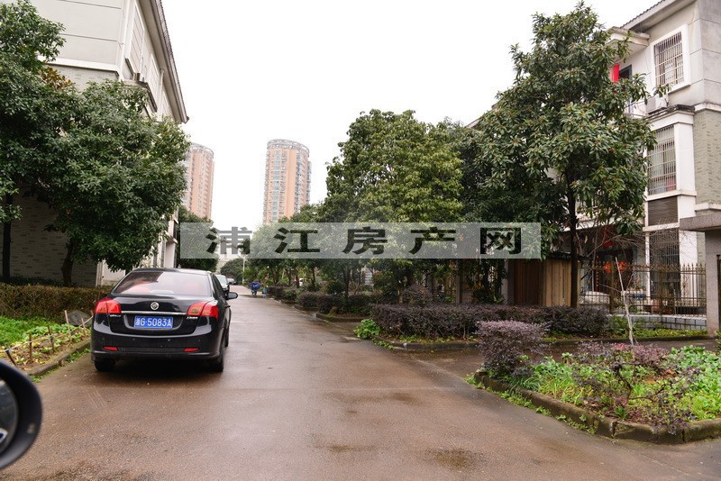 实景图
