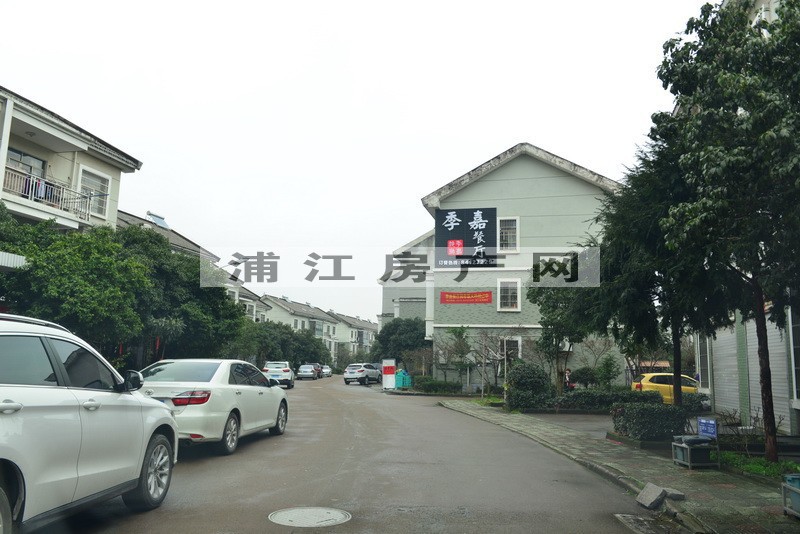 实景图