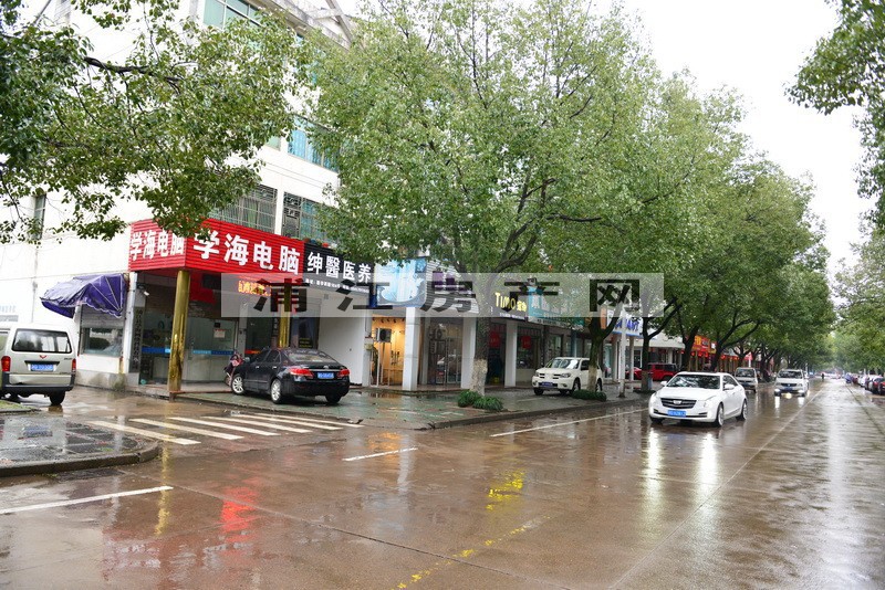 实景图