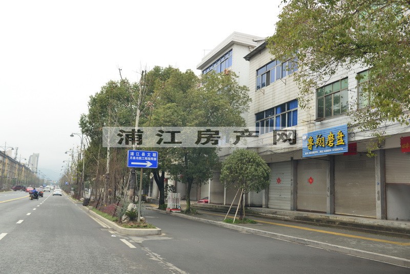 实景图