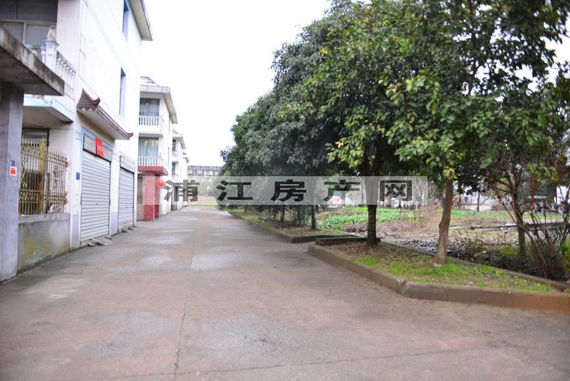实景图