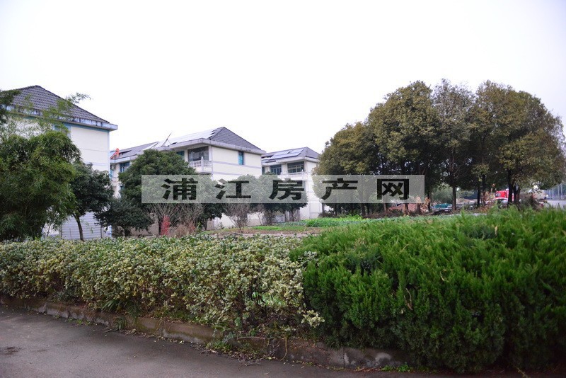 实景图