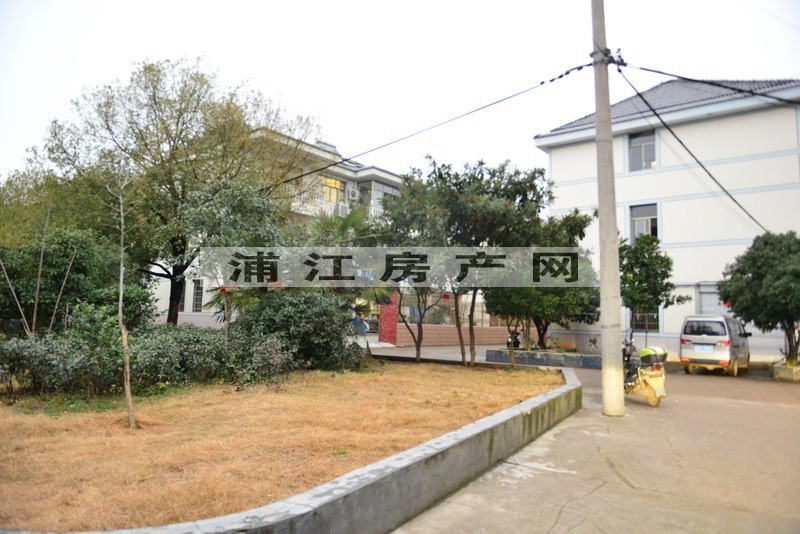 实景图