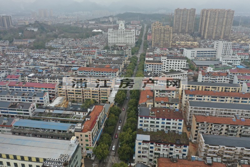 实景图