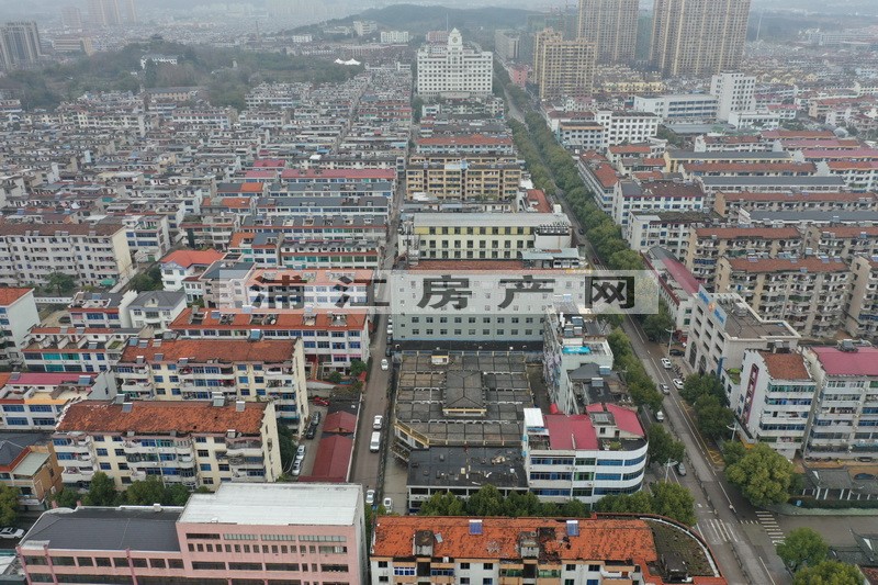 实景图