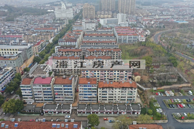 实景图