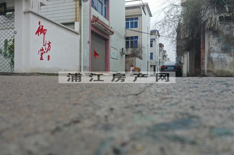 实景图