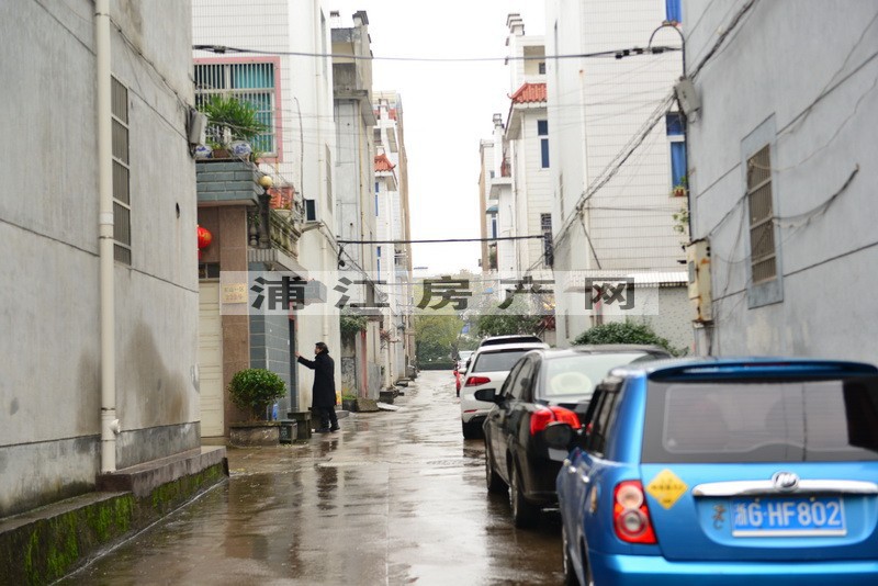 实景图