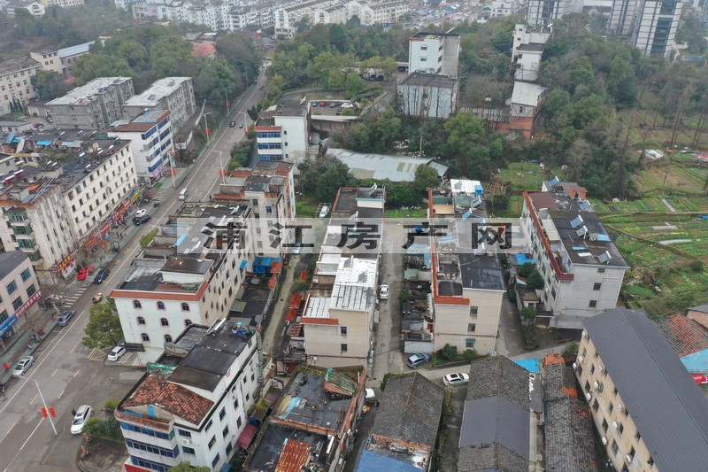 实景图