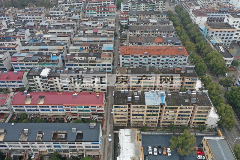 实景图