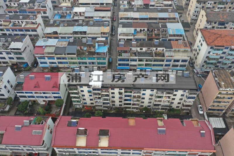 实景图